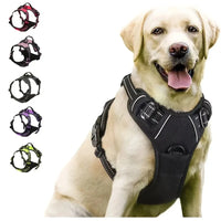 No-Pull Dog Harness & Collar Set | Adjustable Comfort Fit with Leash