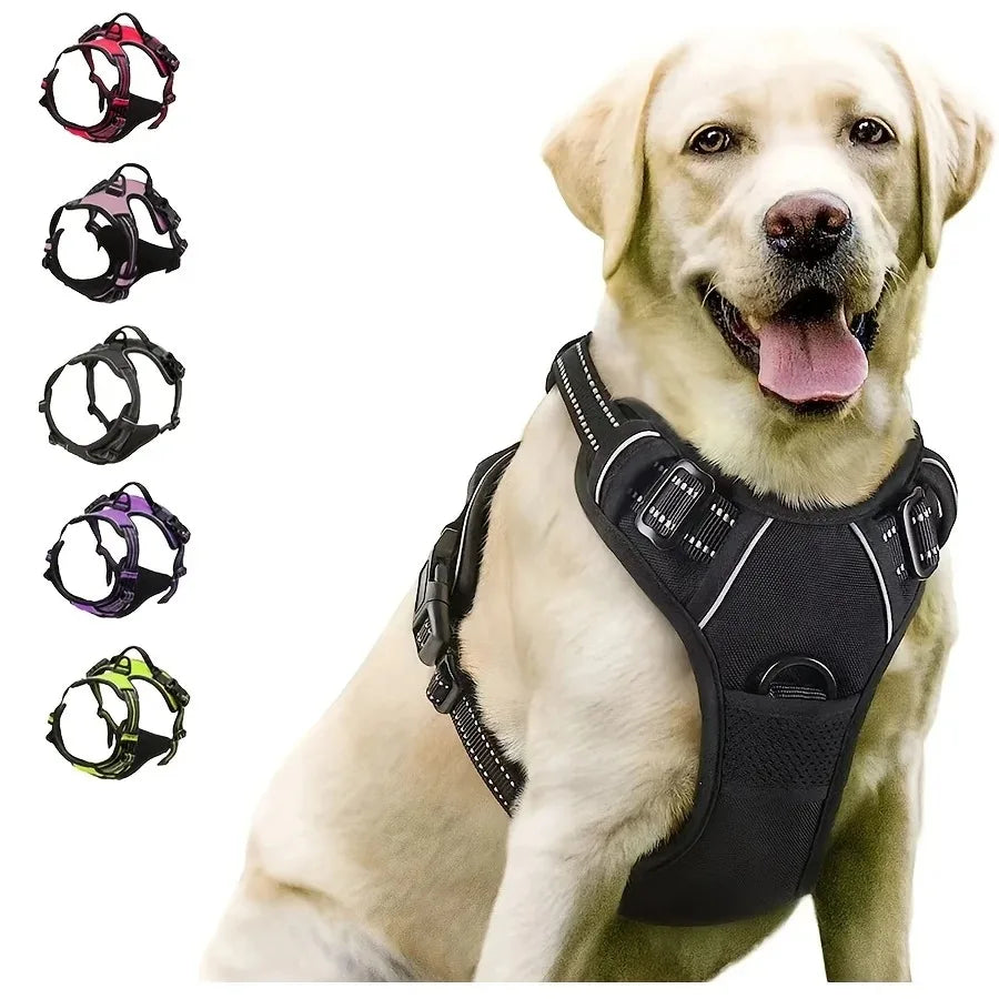 No-Pull Dog Harness & Collar Set | Adjustable Comfort Fit with Leash