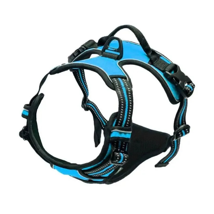 No-Pull Dog Harness & Collar Set | Adjustable Comfort Fit with Leash