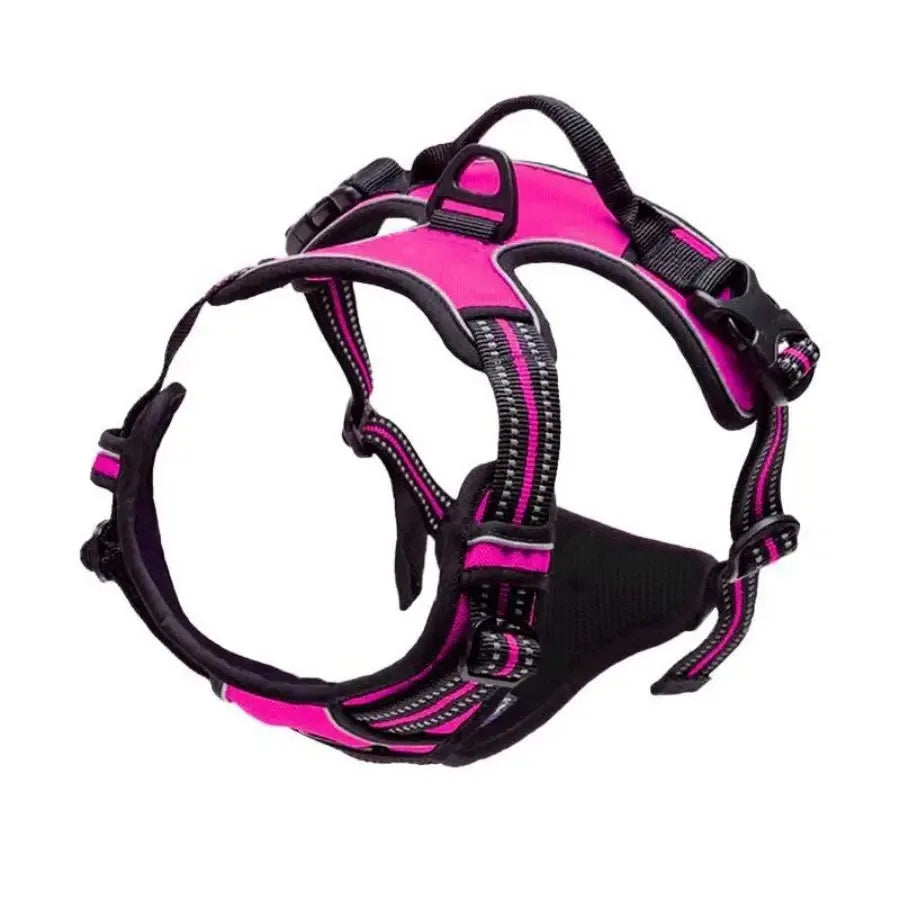 No-Pull Dog Harness & Collar Set | Adjustable Comfort Fit with Leash