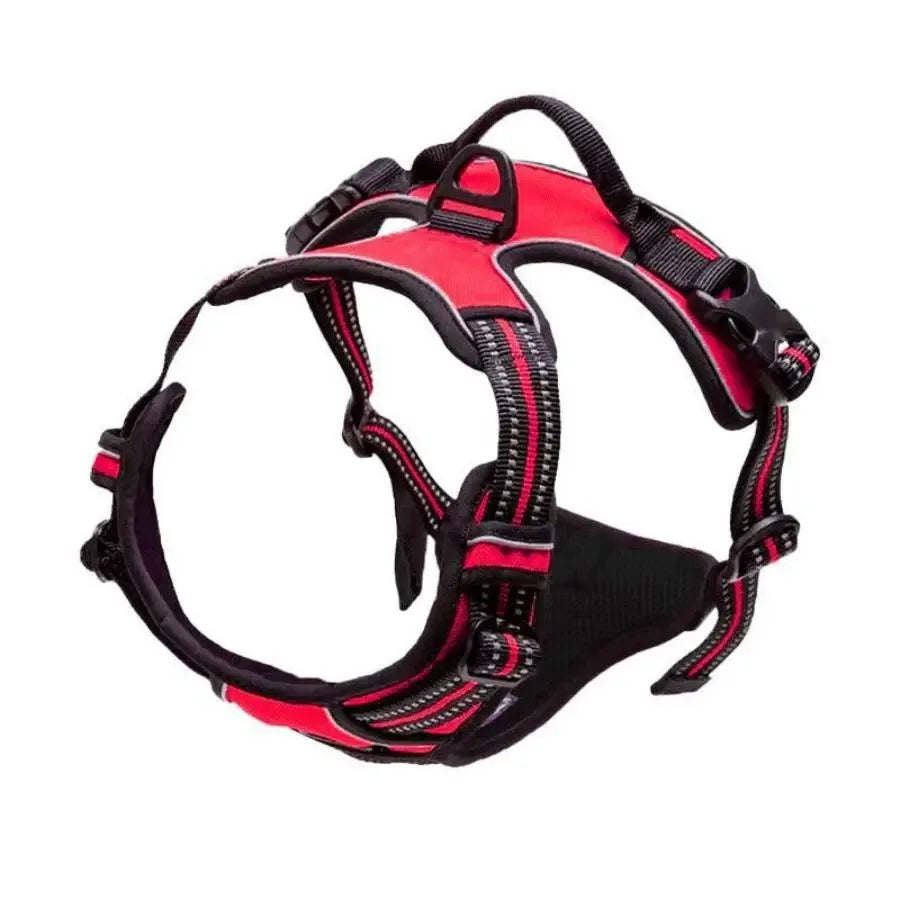 No-Pull Dog Harness & Collar Set | Adjustable Comfort Fit with Leash