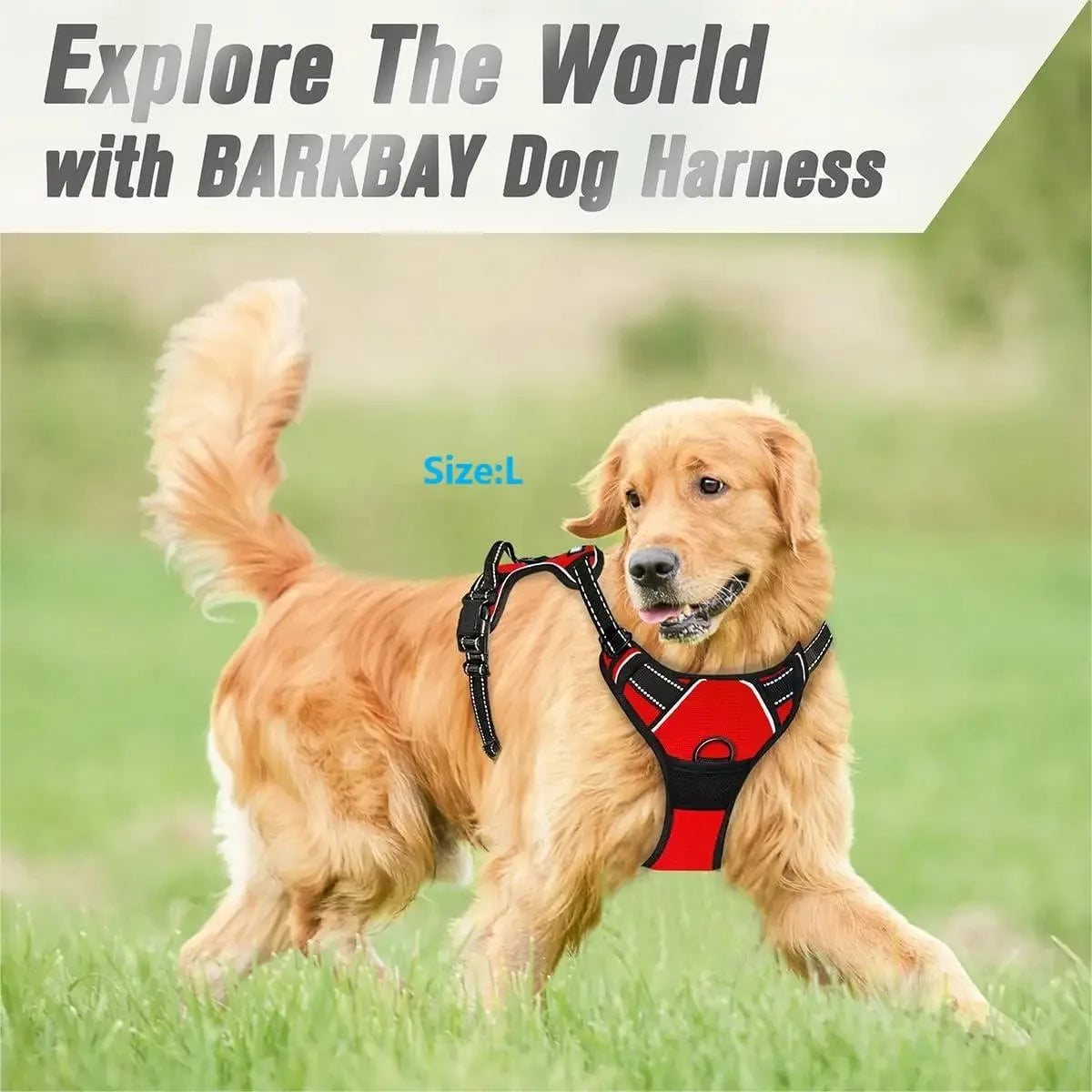 No-Pull Dog Harness & Collar Set | Adjustable Comfort Fit with Leash