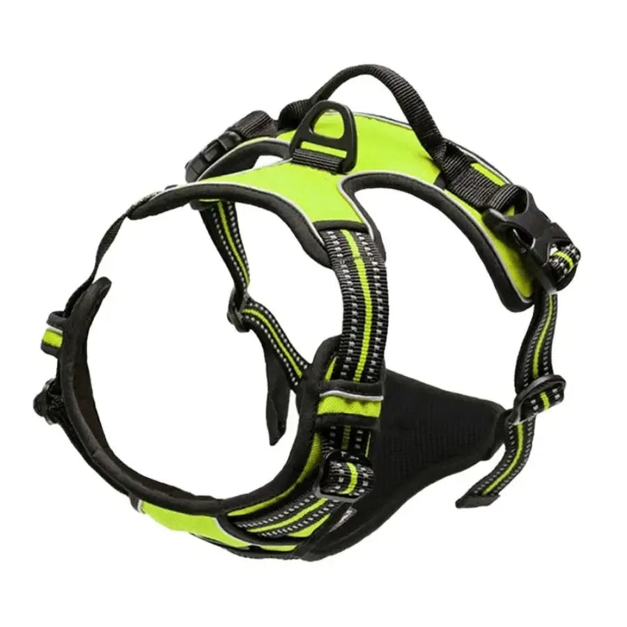 No-Pull Dog Harness & Collar Set | Adjustable Comfort Fit with Leash
