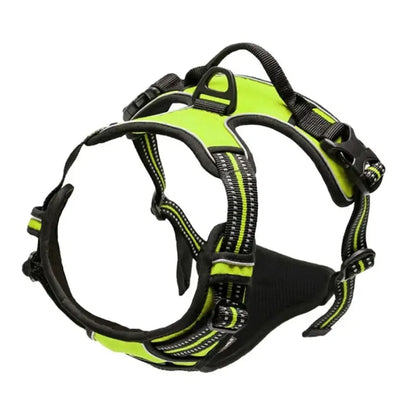 No-Pull Dog Harness & Collar Set | Adjustable Comfort Fit with Leash