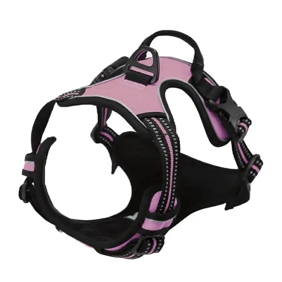 No-Pull Dog Harness & Collar Set | Adjustable Comfort Fit with Leash