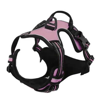 No-Pull Dog Harness & Collar Set | Adjustable Comfort Fit with Leash