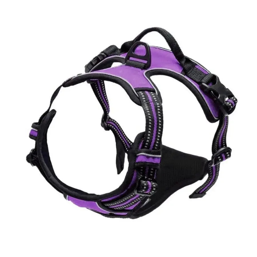 No-Pull Dog Harness & Collar Set | Adjustable Comfort Fit with Leash