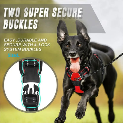 No-Pull Dog Harness & Collar Set | Adjustable Comfort Fit with Leash