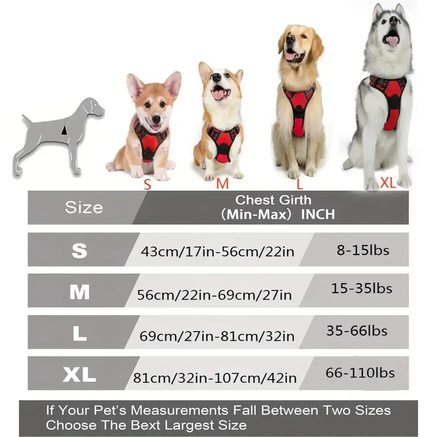 No-Pull Dog Harness & Collar Set | Adjustable Comfort Fit with Leash