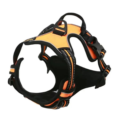 No-Pull Dog Harness & Collar Set | Adjustable Comfort Fit with Leash