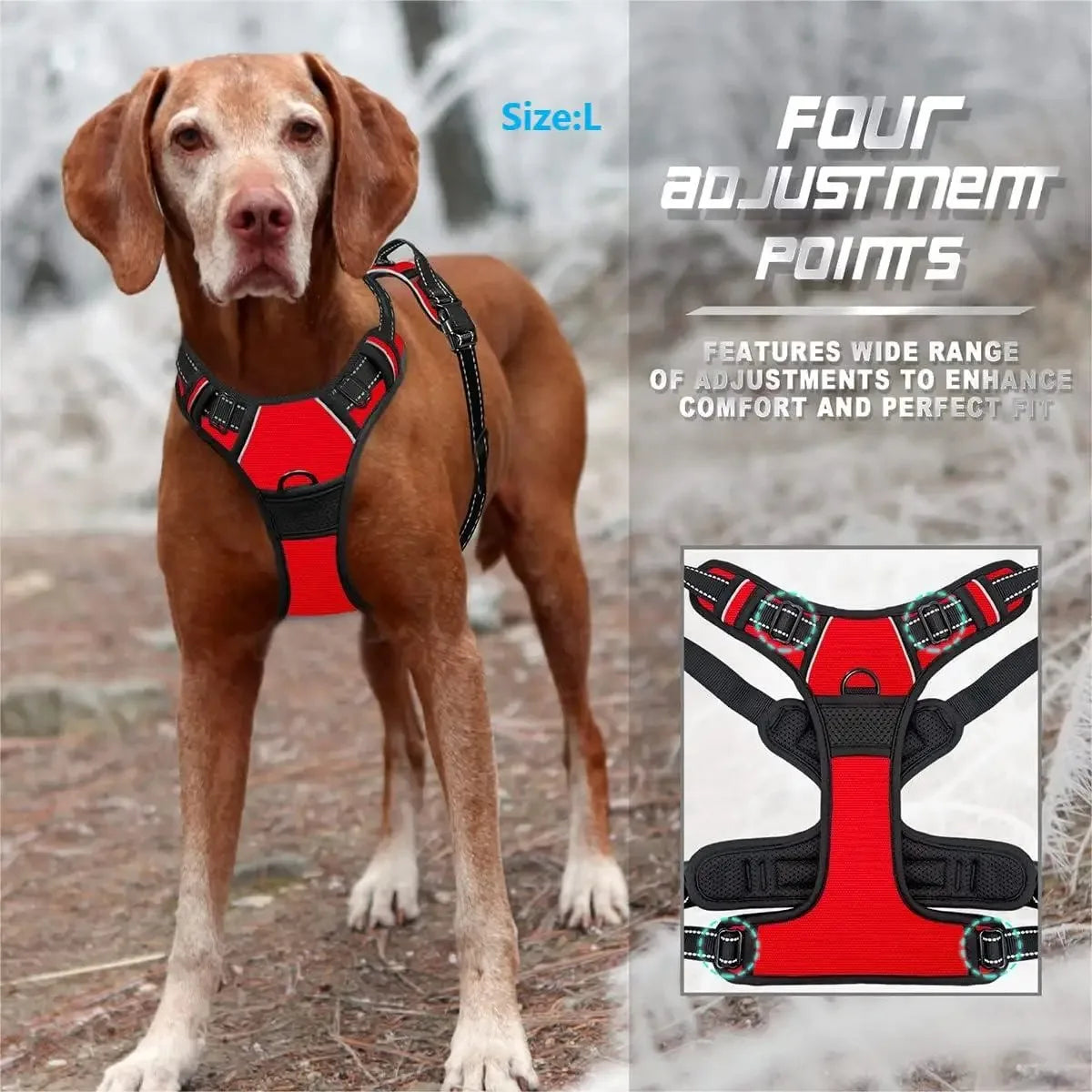 No-Pull Dog Harness & Collar Set | Adjustable Comfort Fit with Leash