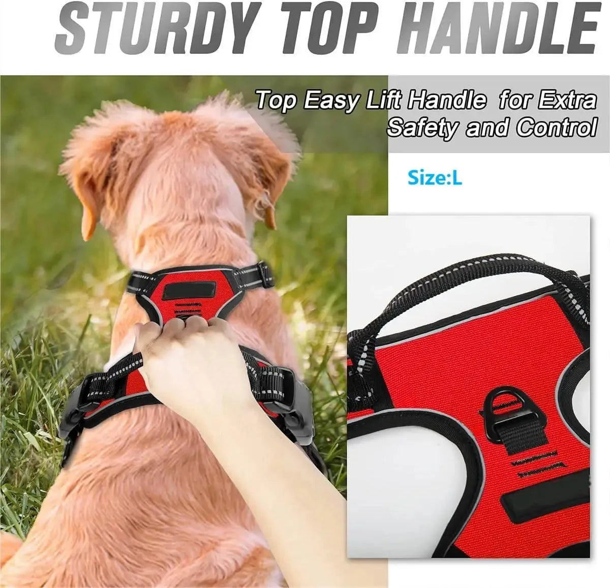 No-Pull Dog Harness & Collar Set | Adjustable Comfort Fit with Leash