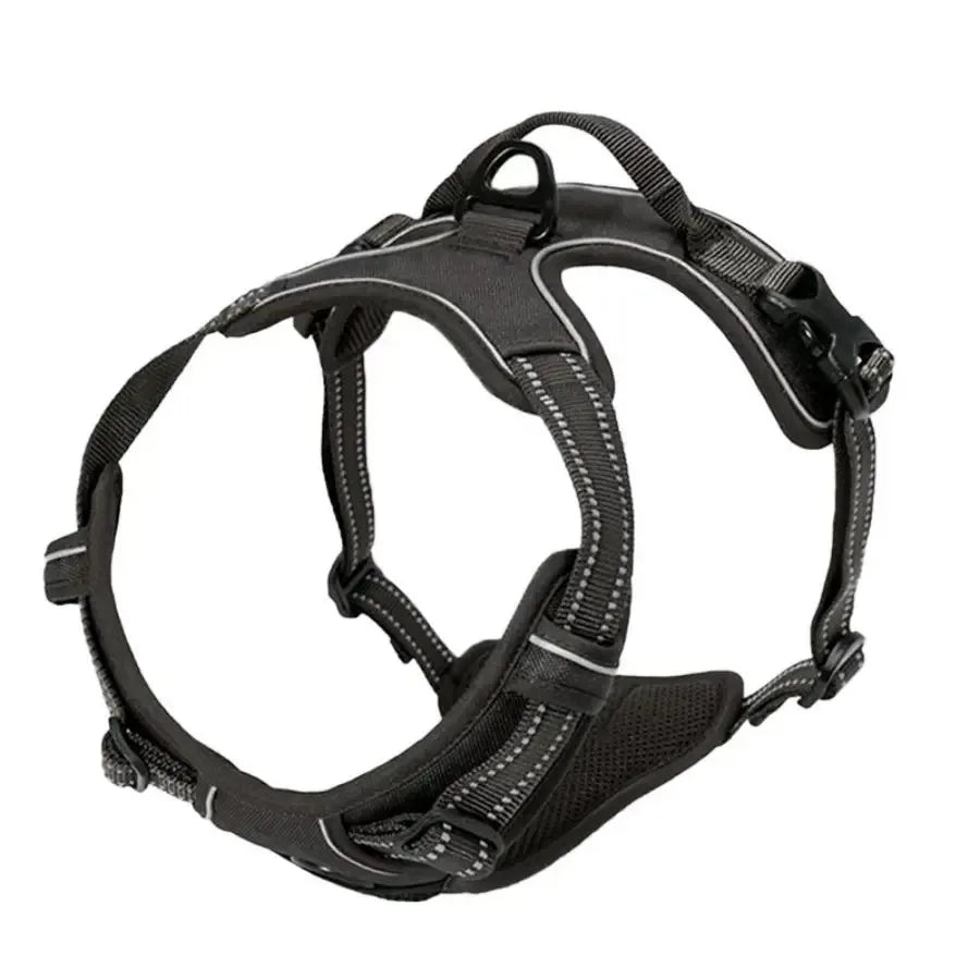 No-Pull Dog Harness & Collar Set | Adjustable Comfort Fit with Leash